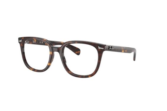 Montura de gafas Ray-Ban Vista 0RX5535201251 - 0RX5535201251